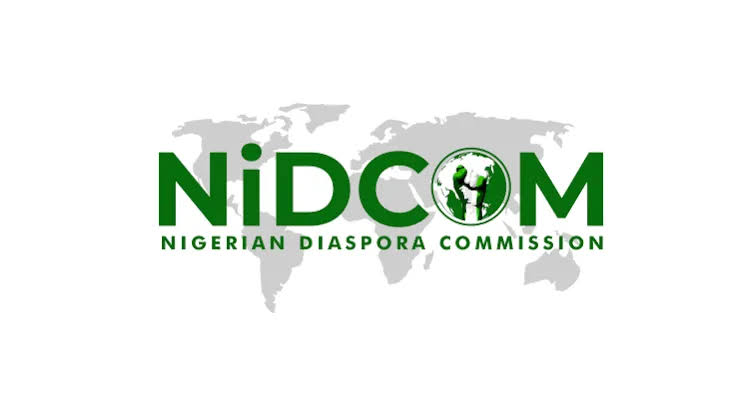 NiDCOM Defends Claim About Nigerian Detained in India for Visa Overstay